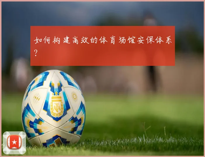 如何构建高效的体育场馆安保体系?