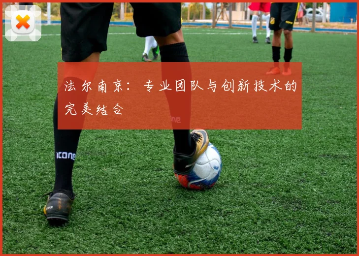 法尔南京：专业团队与创新技术的完美结合