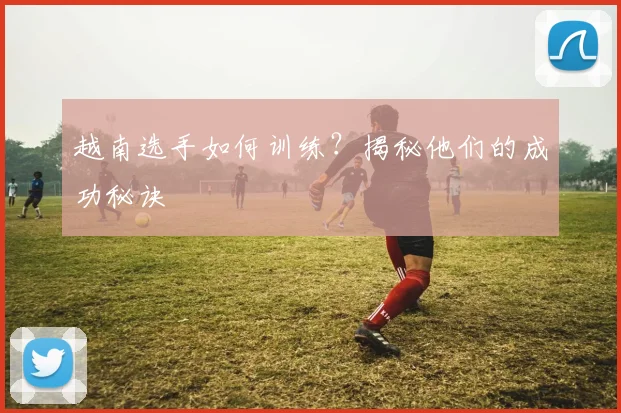 越南选手如何训练?揭秘他们的成功秘诀