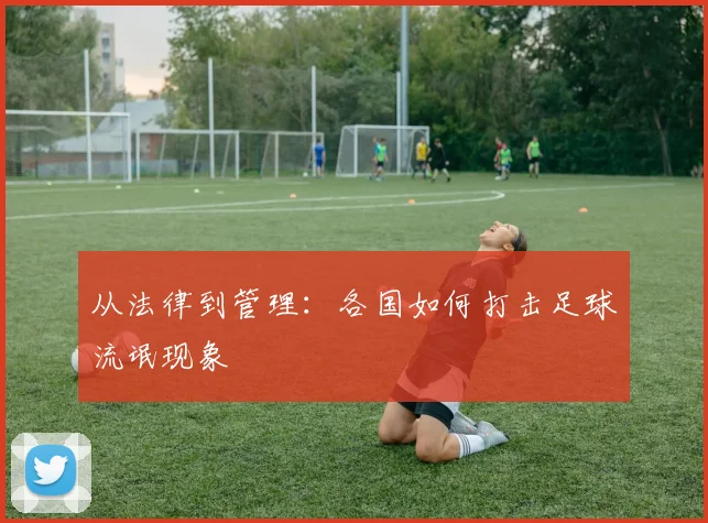 从法律到管理：各国如何打击足球流氓现象