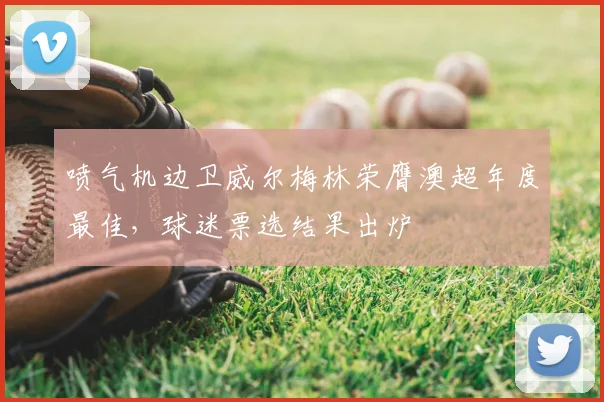 喷气机边卫威尔梅林荣膺澳超年度最佳，球迷票选结果出炉