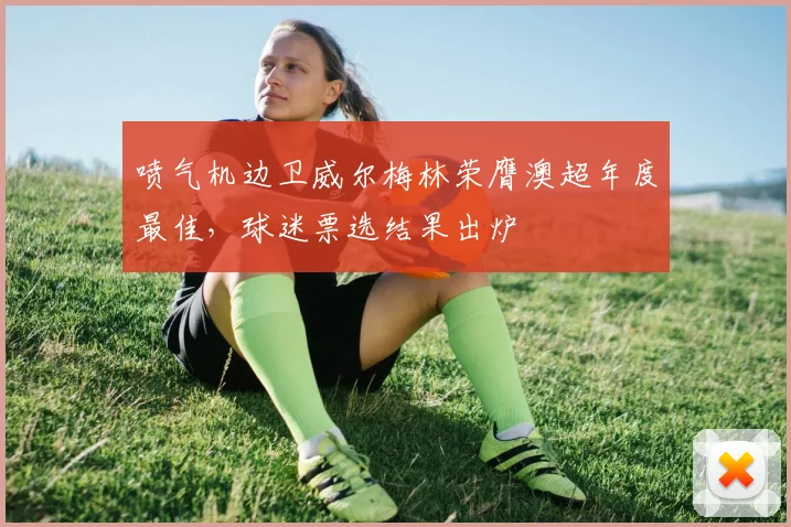 喷气机边卫威尔梅林荣膺澳超年度最佳，球迷票选结果出炉